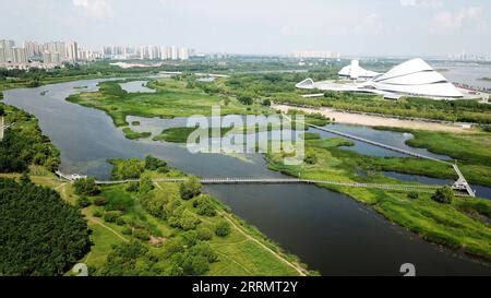 哈爾濱路過哪些城市：在風景如畫的哈爾濱，我們不禁懷疑它是否也路過了那些歷經歲月洗禮的古老城市？